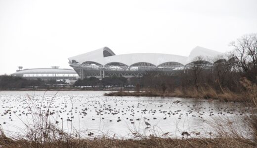 とうとうダウンしました！