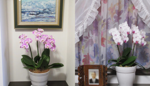 無事に家のリフォーム完了、疲れた〜！